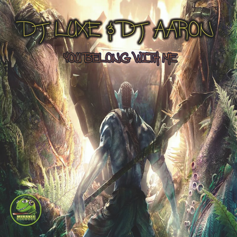 DJ Luxe & DJ Aaron - You Belong With Me